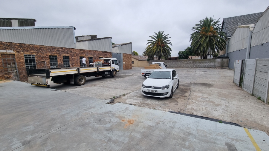 To Let commercial Property for Rent in Brackenfell Industrial Western Cape